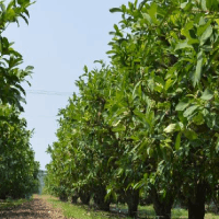 通風(fēng)管道在工業(yè)中的應(yīng)用